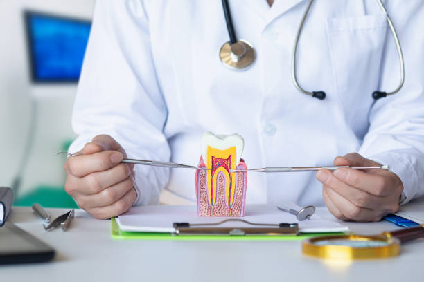 Best Broken Tooth Emergency  in Douglas, AL
